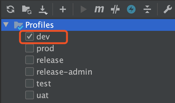 查看maven面板，默认激活dev环境